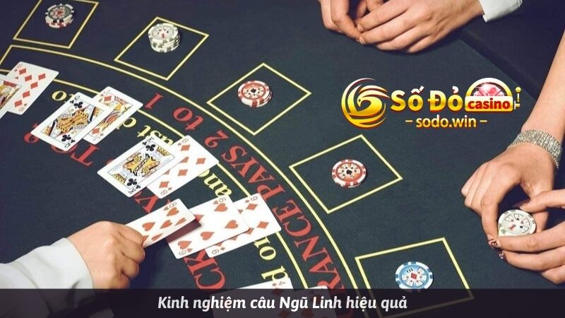 Chơi bài xì dách ngũ linh tại Sodo